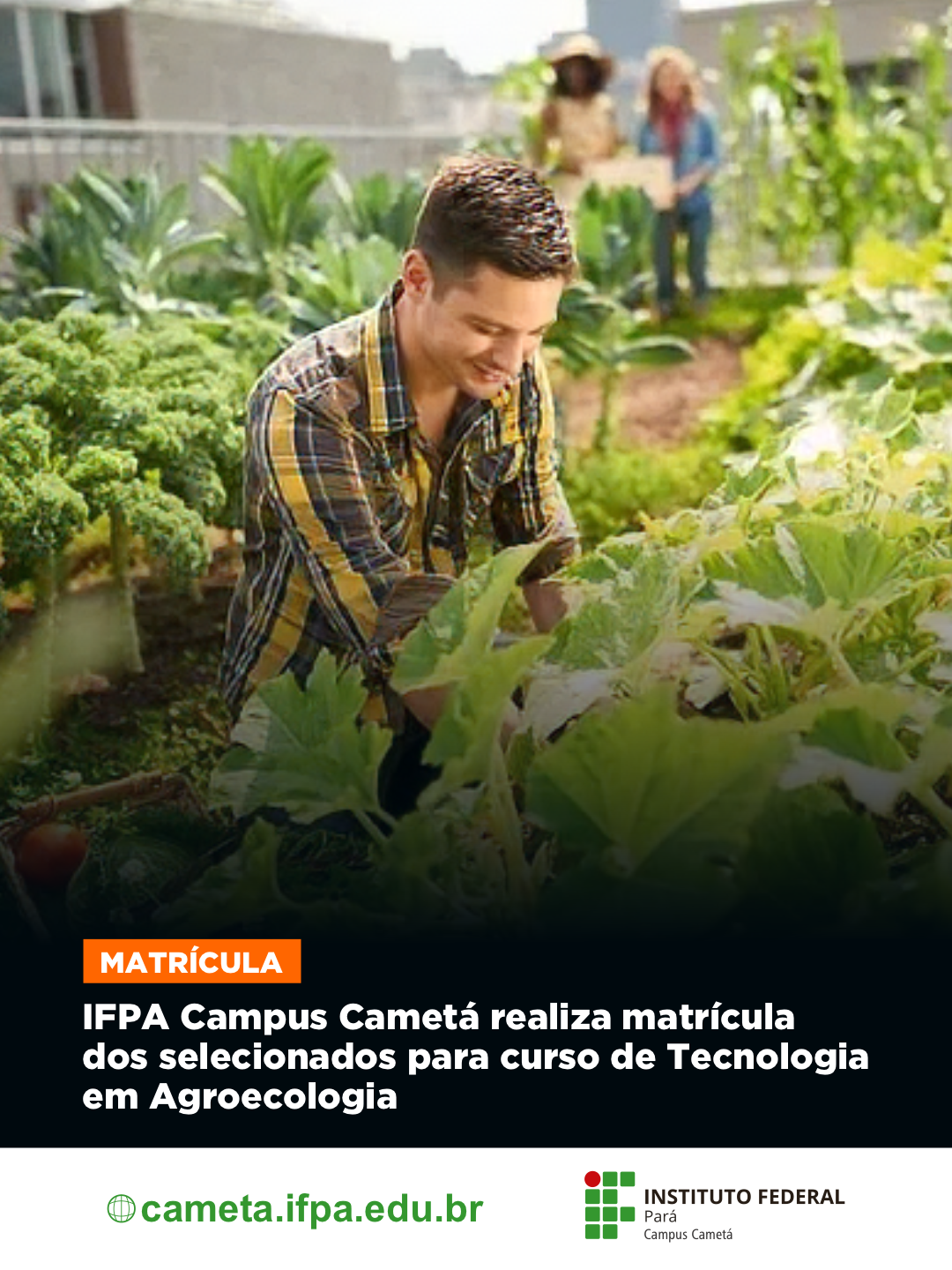 imagem sem descrição.